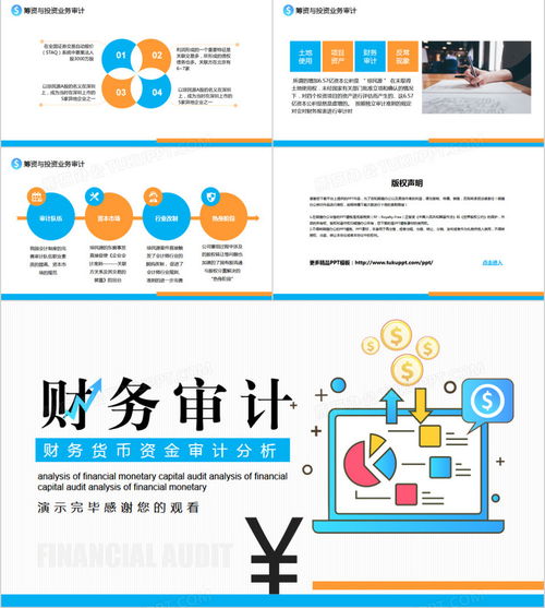 簡(jiǎn)約扁平風(fēng)財(cái)務(wù)貨幣資金審計(jì)分析動(dòng)態(tài)PPT模板