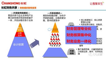 長虹財(cái)務(wù)共享服務(wù)中心 信息化建設(shè)的創(chuàng)新與實(shí)踐之路